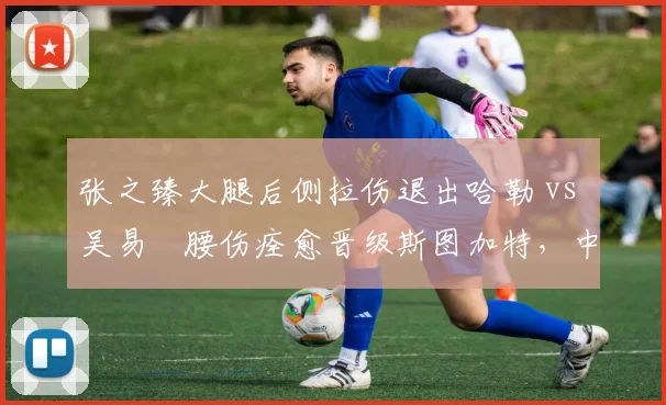 张之臻大腿后侧拉伤退出哈勒 vs 吴易昺腰伤痊愈晋级斯图加特，中国男网草地首秀不同命